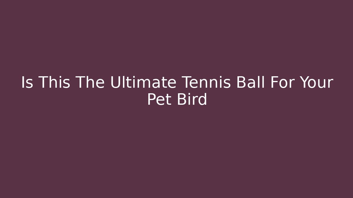 Is This The Ultimate Tennis Ball For Your Pet Bird - Critter Realm