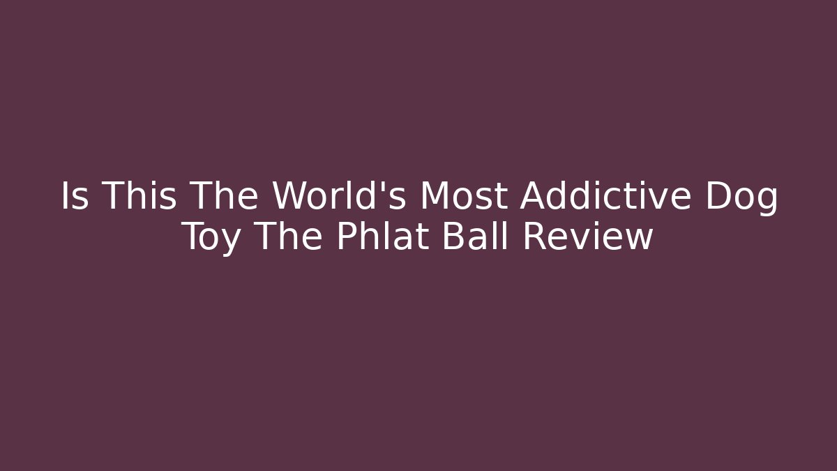 Is This The World's Most Addictive Dog Toy The Phlat Ball Review