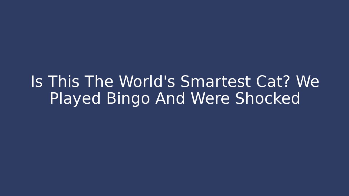 Is This The World's Smartest Cat? We Played Bingo And Were Shocked