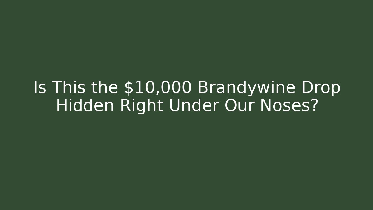 Is This the $10,000 Brandywine Drop Hidden Right Under Our Noses?
