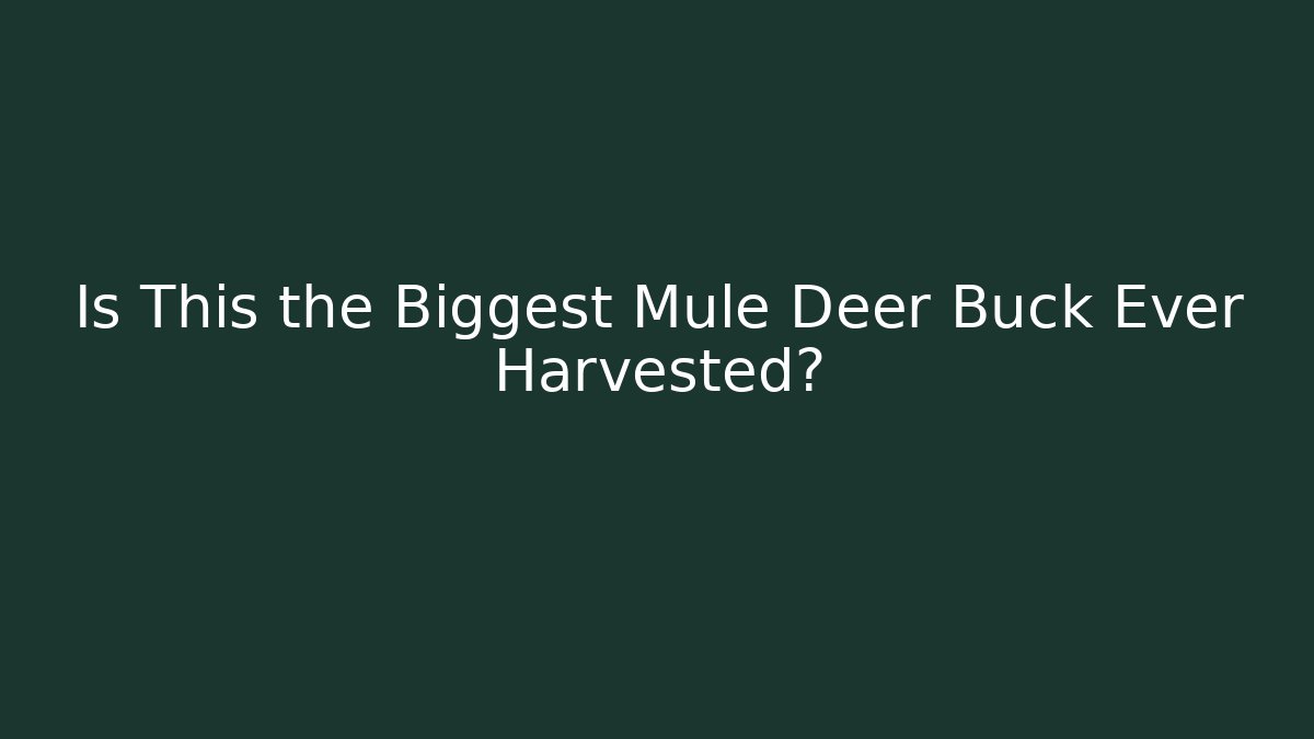 Is This the Biggest Mule Deer Buck Ever Harvested?