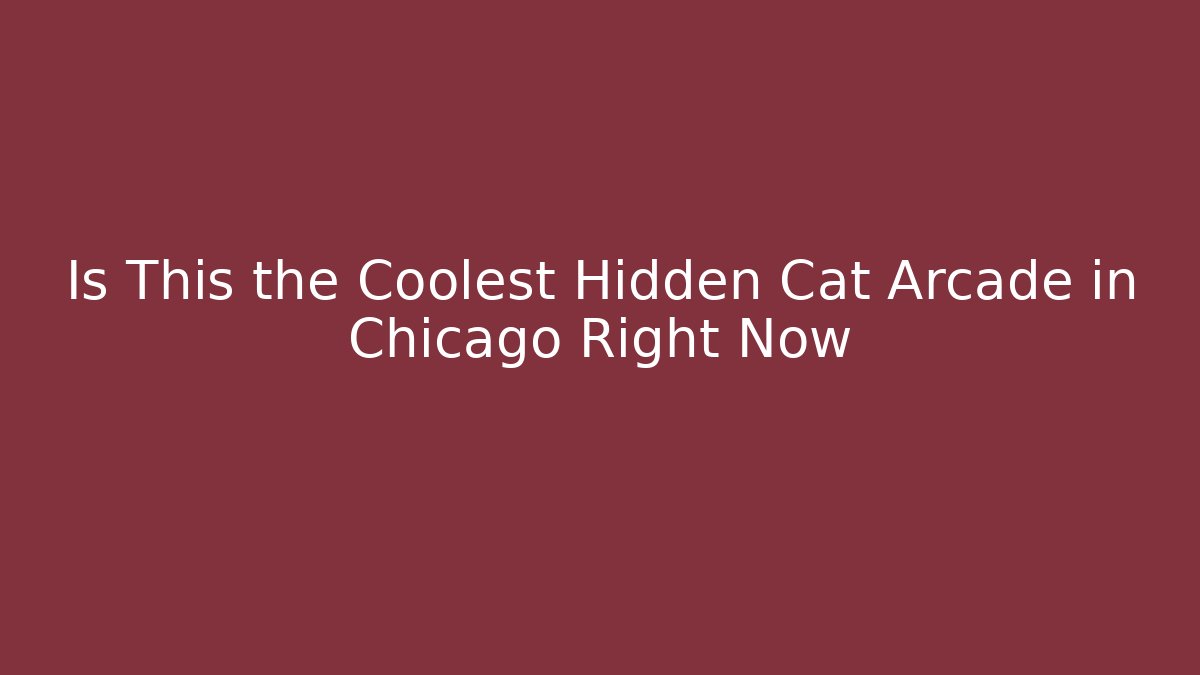 Is This the Coolest Hidden Cat Arcade in Chicago Right Now