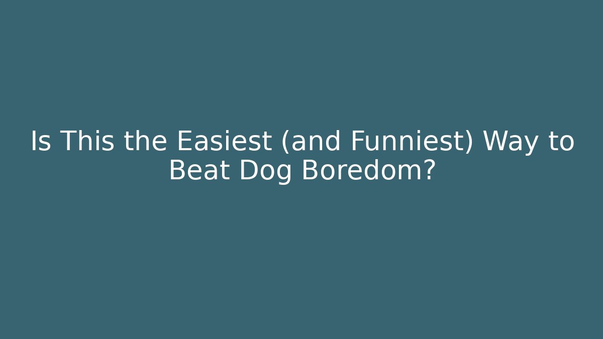 Is This the Easiest (and Funniest) Way to Beat Dog Boredom?