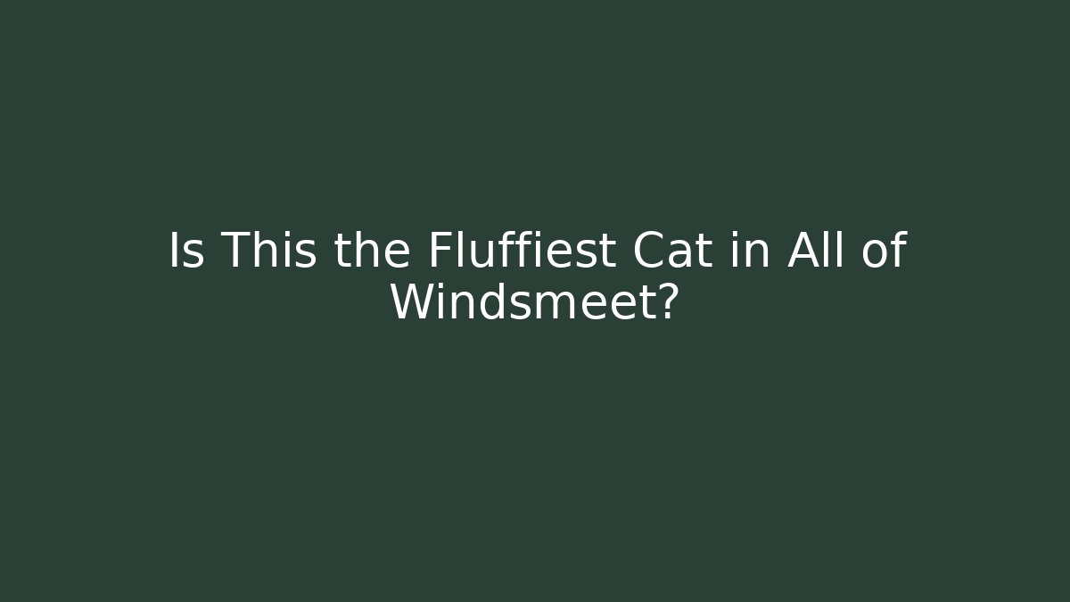 Is This the Fluffiest Cat in All of Windsmeet?