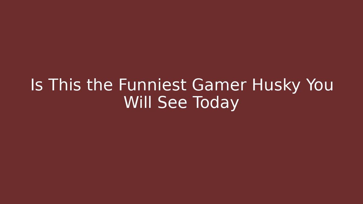 Is This the Funniest Gamer Husky You Will See Today