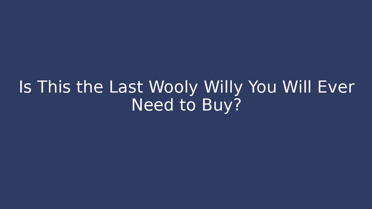 Is This the Last Wooly Willy You Will Ever Need to Buy?