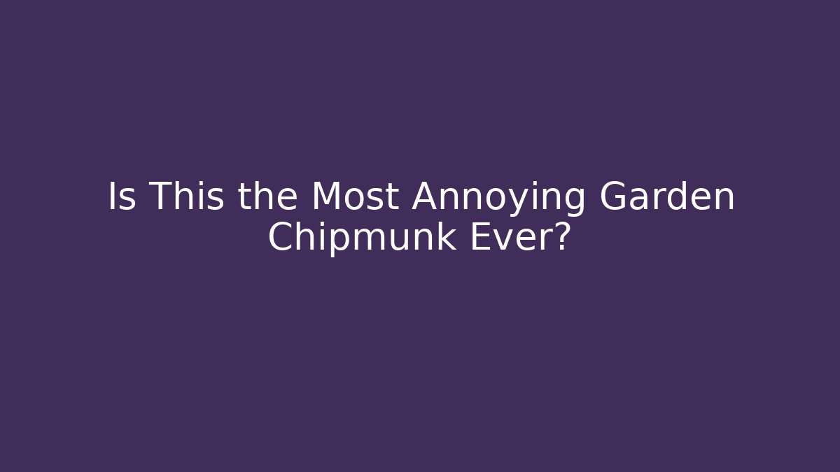 Is This the Most Annoying Garden Chipmunk Ever?