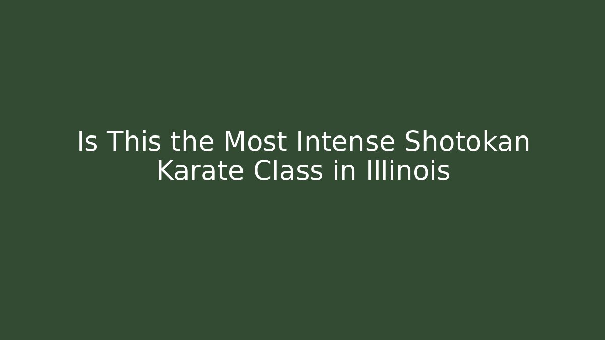 Is This the Most Intense Shotokan Karate Class in Illinois