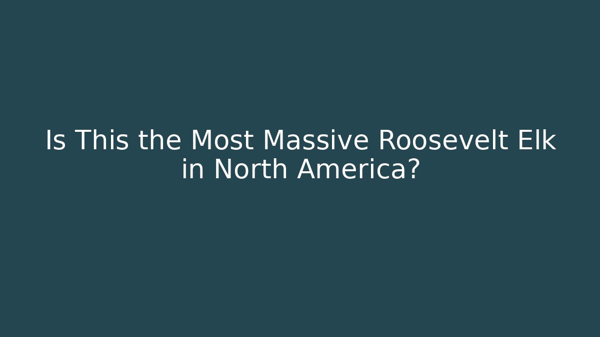 Is This the Most Massive Roosevelt Elk in North America?