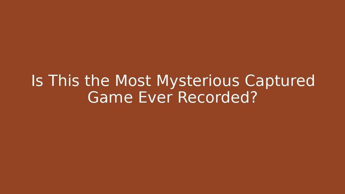 Is This the Most Mysterious Captured Game Ever Recorded?