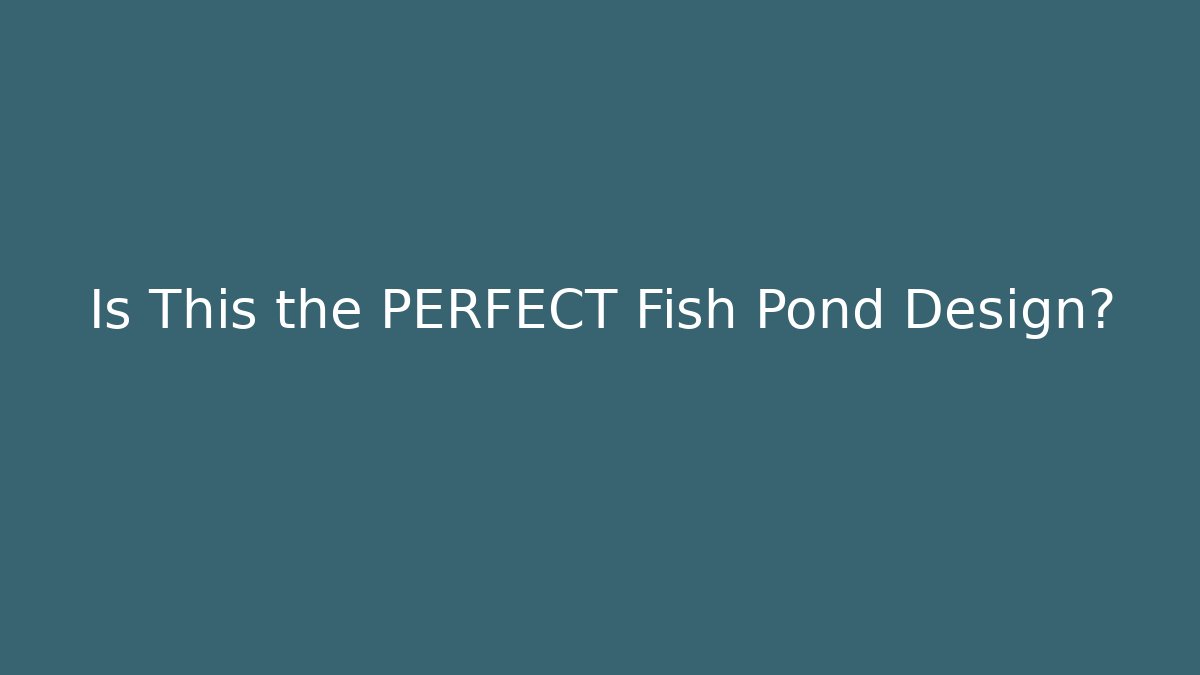 Is This the PERFECT Fish Pond Design?