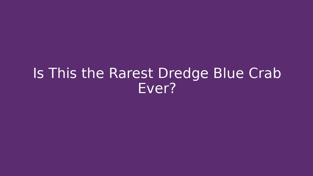 Is This the Rarest Dredge Blue Crab Ever?