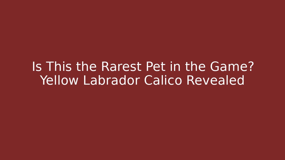 Is This the Rarest Pet in the Game? Yellow Labrador Calico Revealed