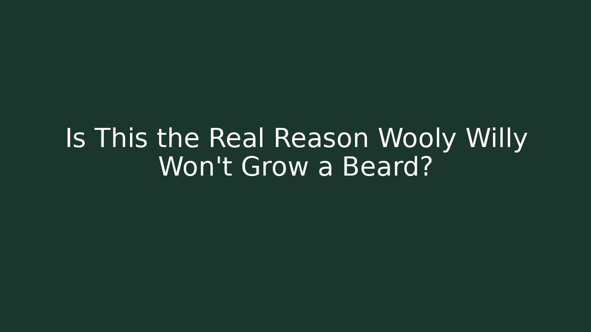 Is This the Real Reason Wooly Willy Won't Grow a Beard?
