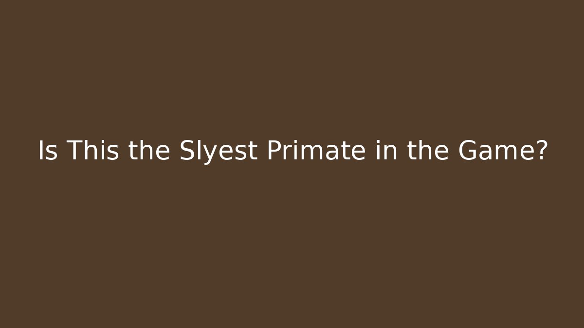 Is This the Slyest Primate in the Game? - Critter Realm