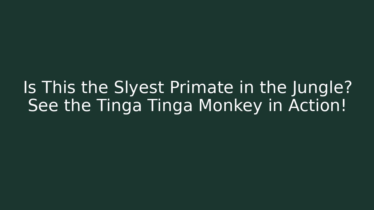 Is This the Slyest Primate in the Jungle? See the Tinga Tinga Monkey in Action!