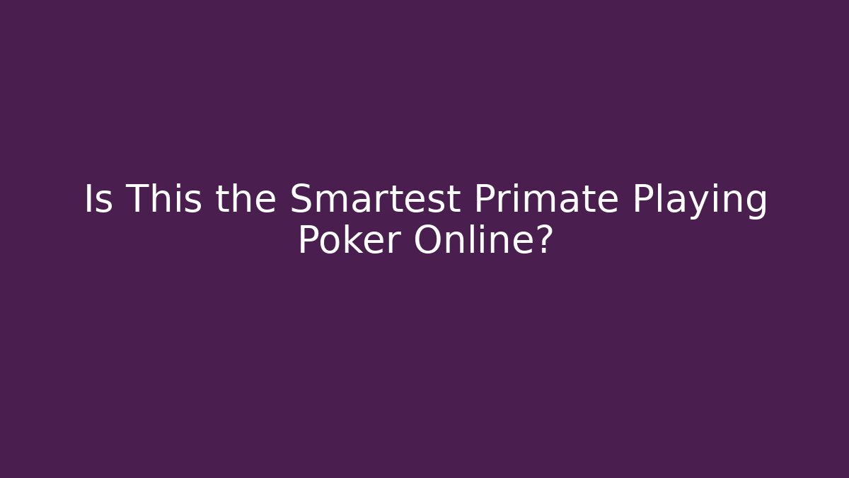 Is This the Smartest Primate Playing Poker Online?