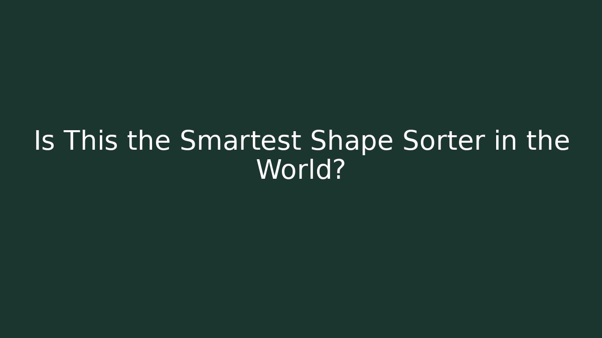 Is This the Smartest Shape Sorter in the World?
