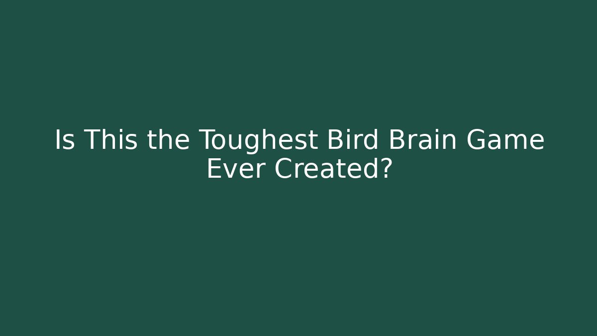 Is This the Toughest Bird Brain Game Ever Created?