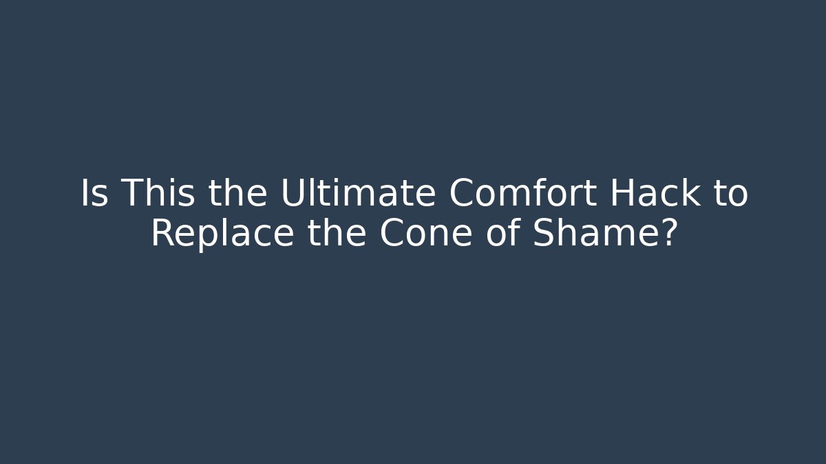 Is This the Ultimate Comfort Hack to Replace the Cone of Shame?