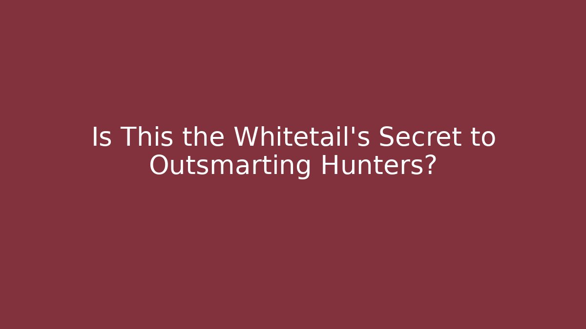 Is This the Whitetail's Secret to Outsmarting Hunters?
