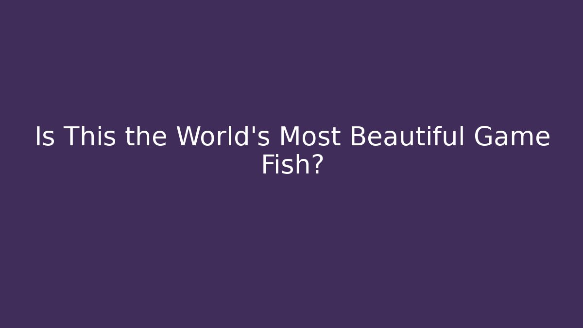 Is This the World's Most Beautiful Game Fish?