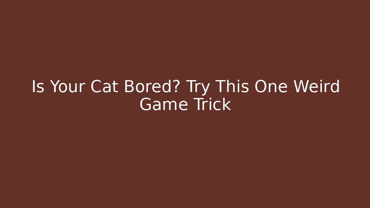 Is Your Cat Bored? Try This One Weird Game Trick