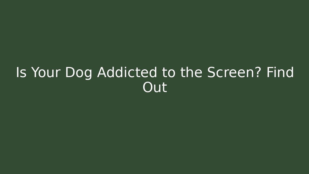 Is Your Dog Addicted to the Screen? Find Out