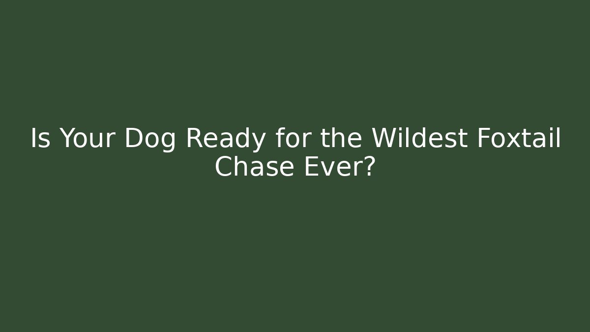 Is Your Dog Ready for the Wildest Foxtail Chase Ever?