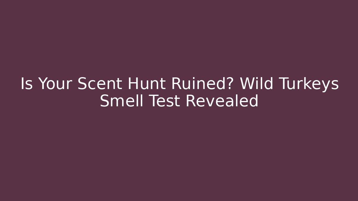 Is Your Scent Hunt Ruined? Wild Turkeys Smell Test Revealed