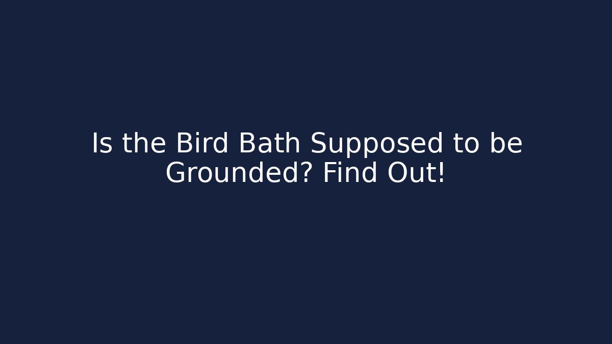 Is the Bird Bath Supposed to be Grounded? Find Out!