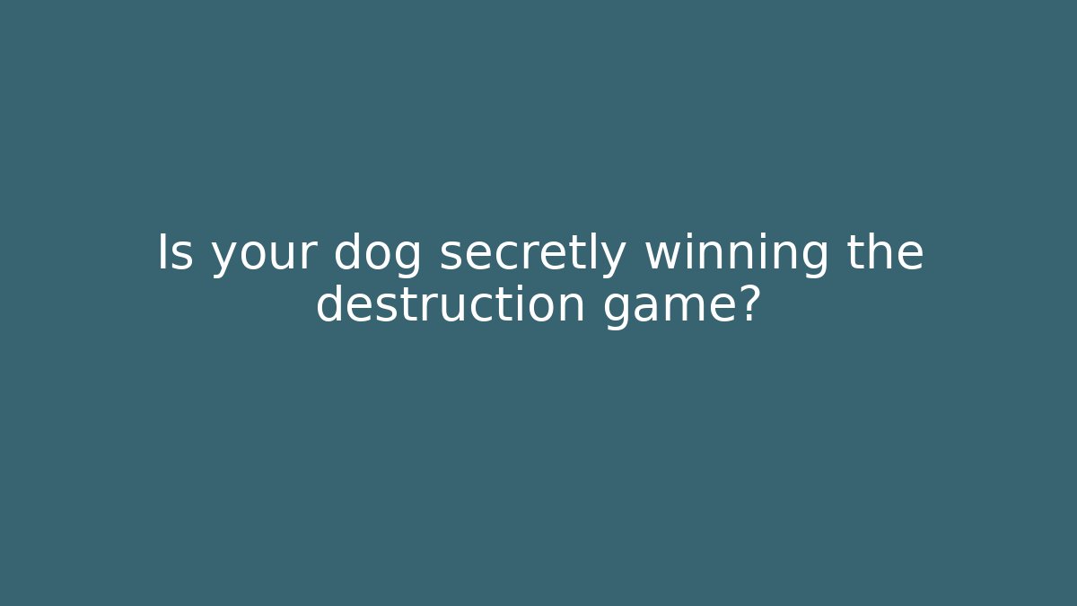 Is your dog secretly winning the destruction game?