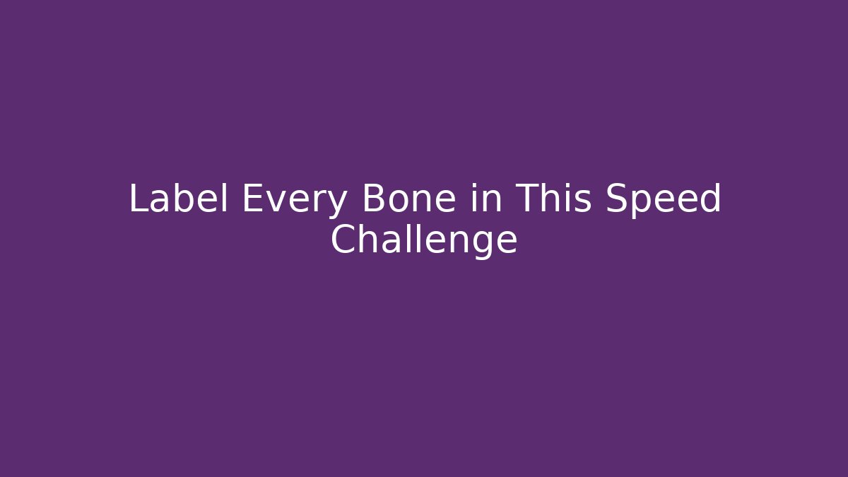 Label Every Bone in This Speed Challenge
