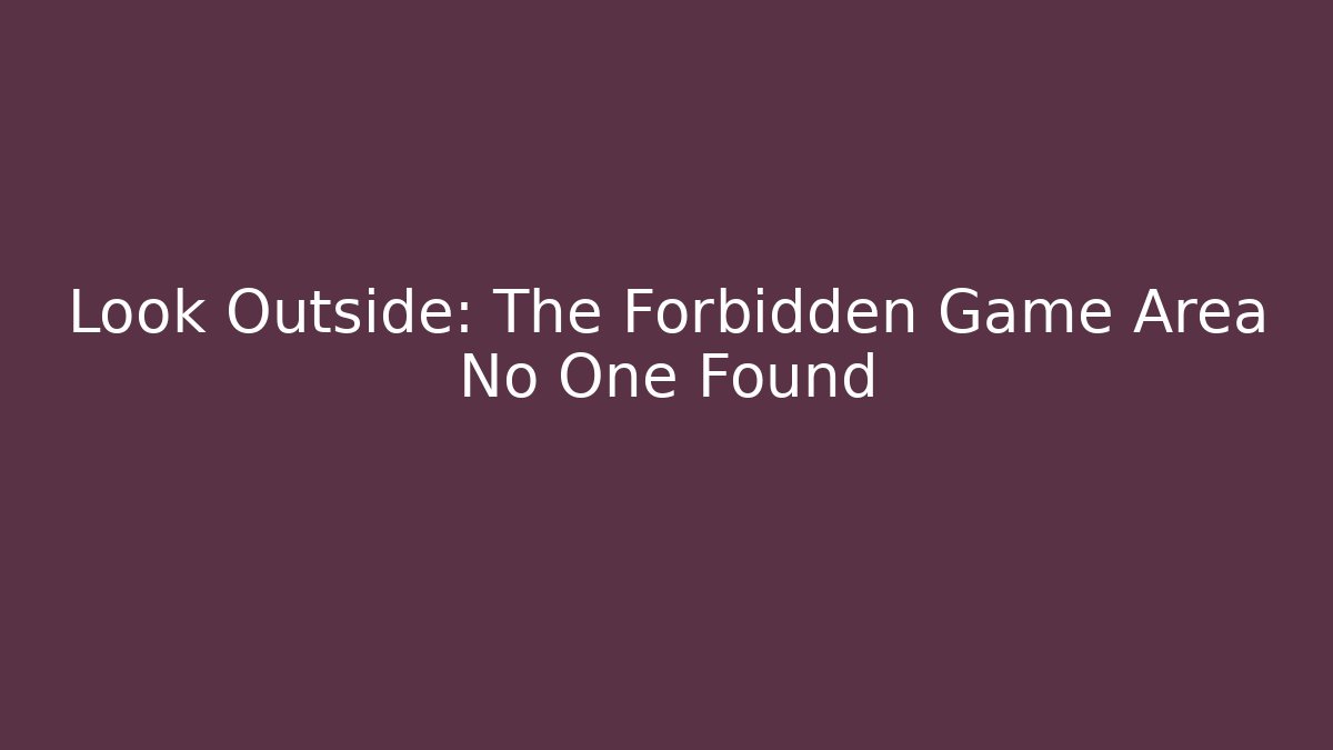 Look Outside: The Forbidden Game Area No One Found