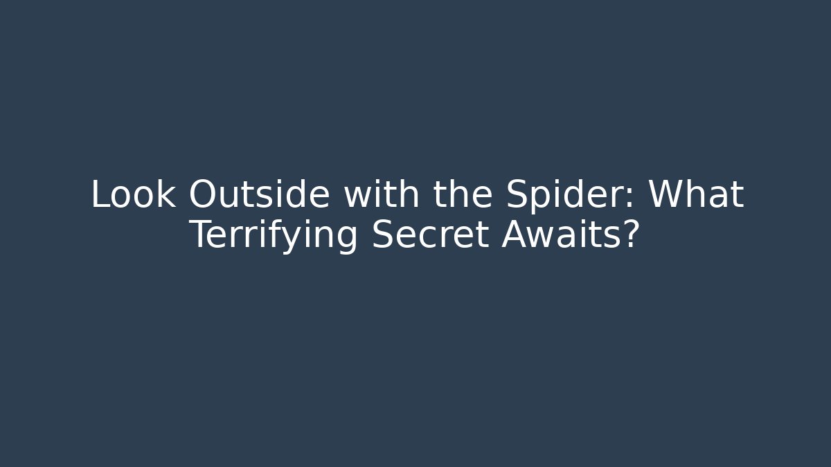 Look Outside with the Spider: What Terrifying Secret Awaits?