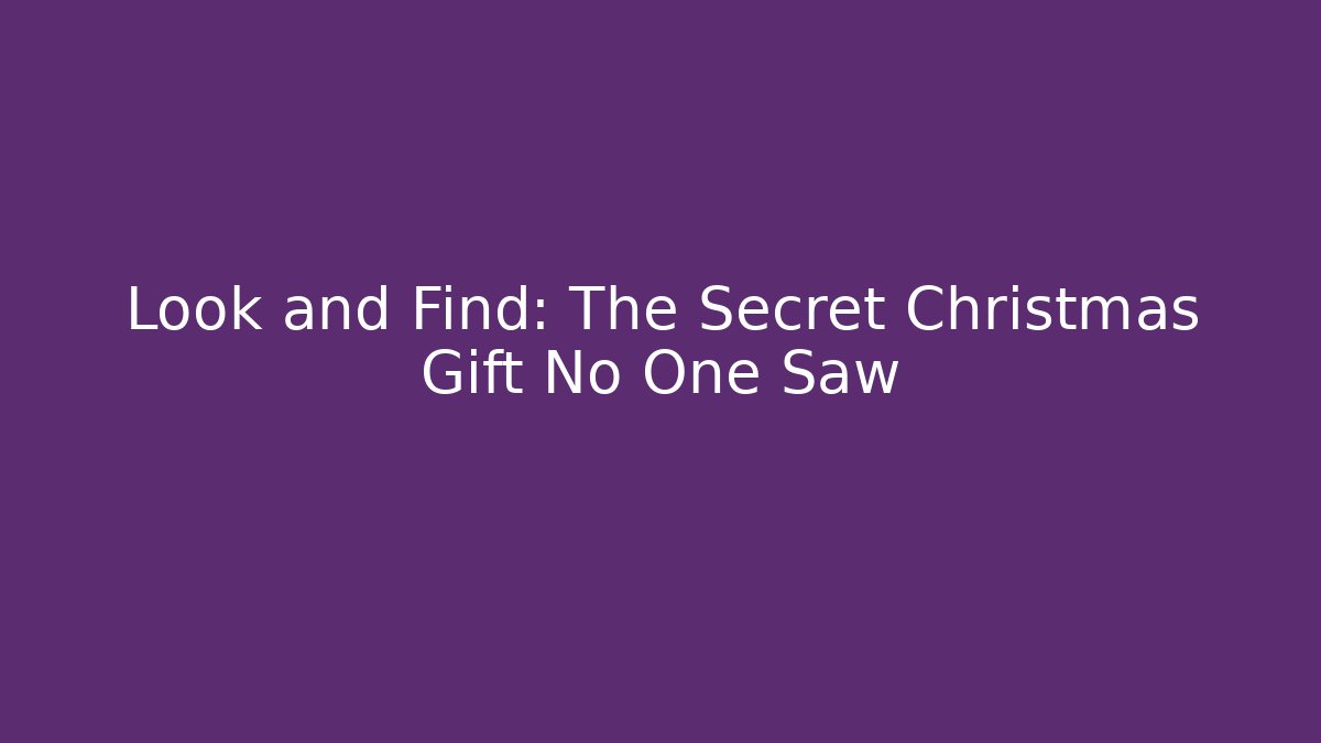 Look and Find: The Secret Christmas Gift No One Saw