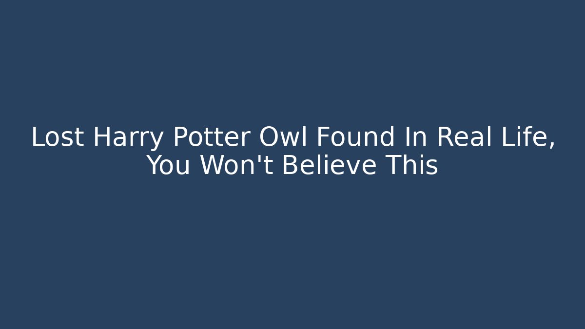 Lost Harry Potter Owl Found In Real Life, You Won't Believe This