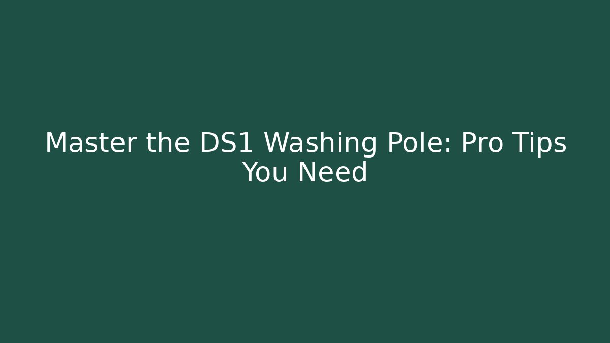 Master the DS1 Washing Pole: Pro Tips You Need