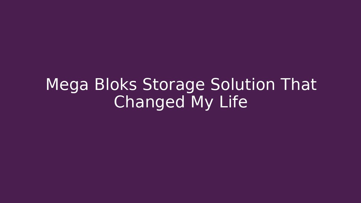 Mega Bloks Storage Solution That Changed My Life