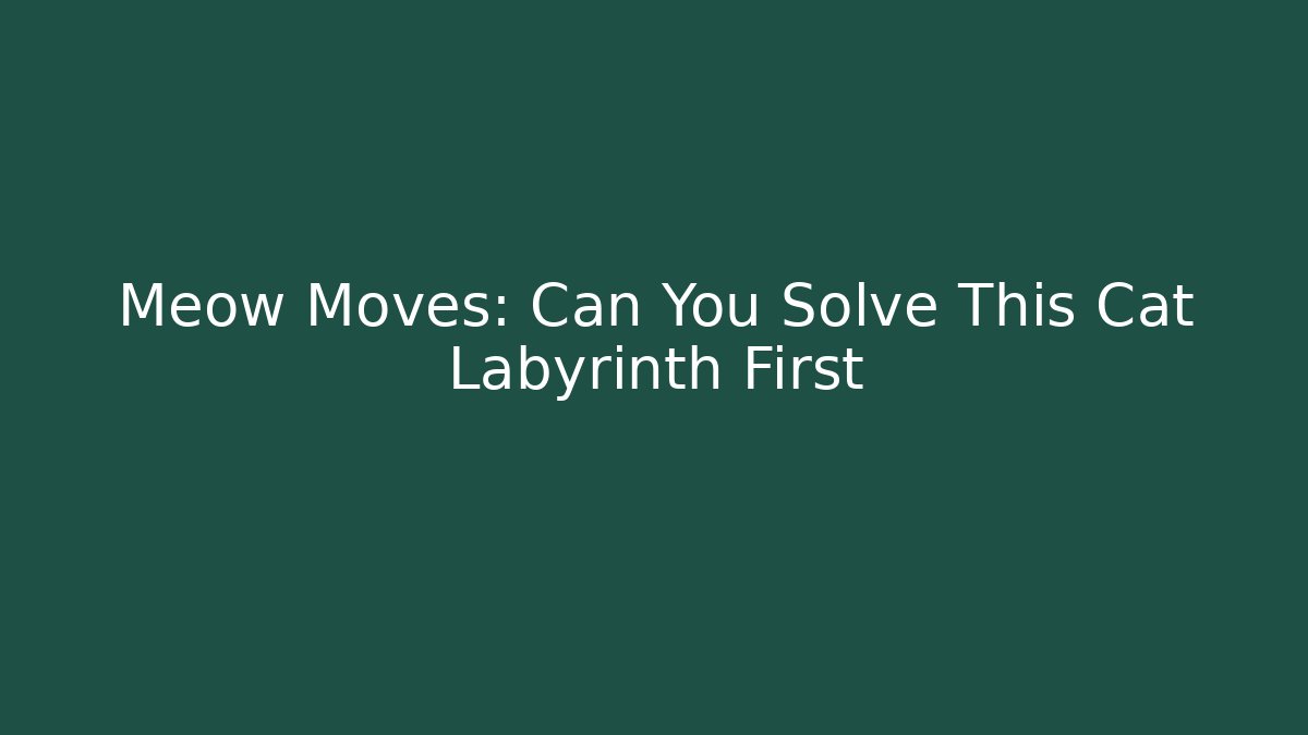 Meow Moves: Can You Solve This Cat Labyrinth First