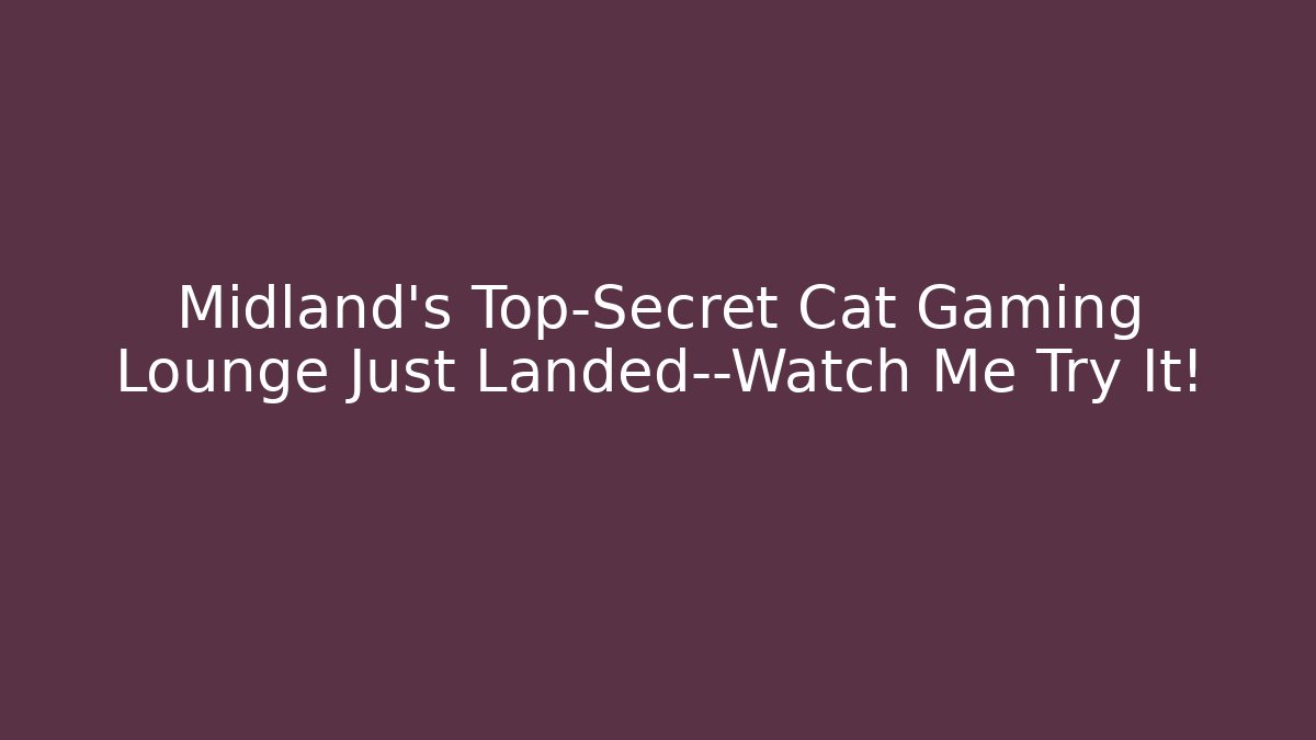 Midland's Top-Secret Cat Gaming Lounge Just Landed—Watch Me Try It!