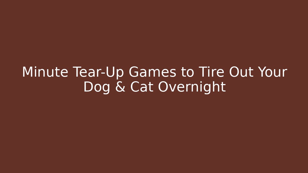 Minute Tear-Up Games to Tire Out Your Dog & Cat Overnight