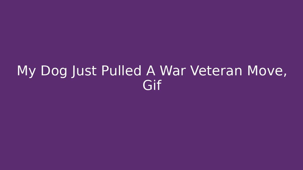 My Dog Just Pulled A War Veteran Move, Gif