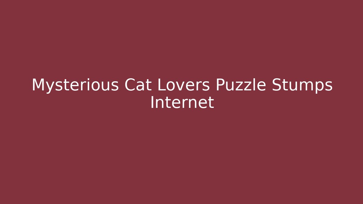 Mysterious Cat Lovers Puzzle Stumps Internet