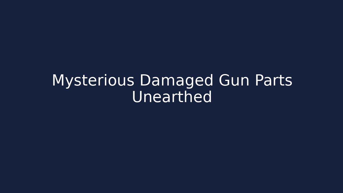 Mysterious Damaged Gun Parts Unearthed