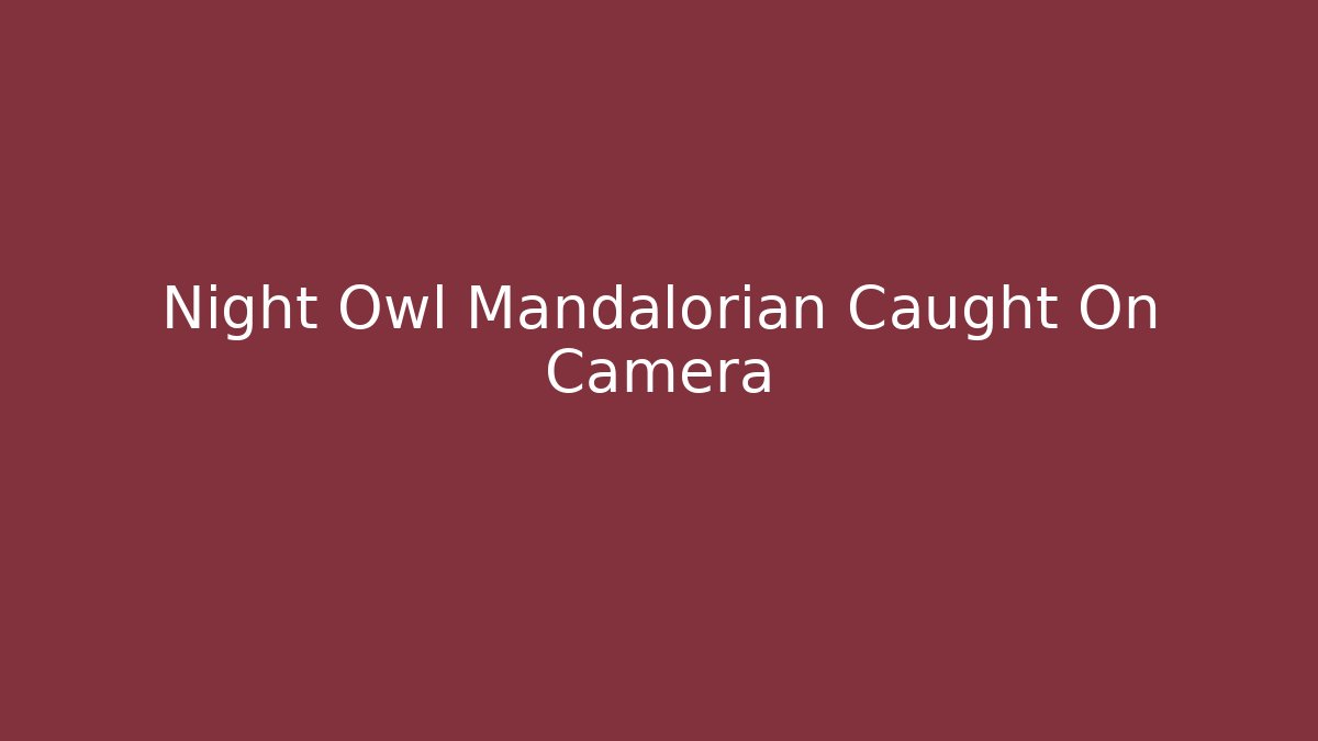 Night Owl Mandalorian Caught On Camera - Critter Realm
