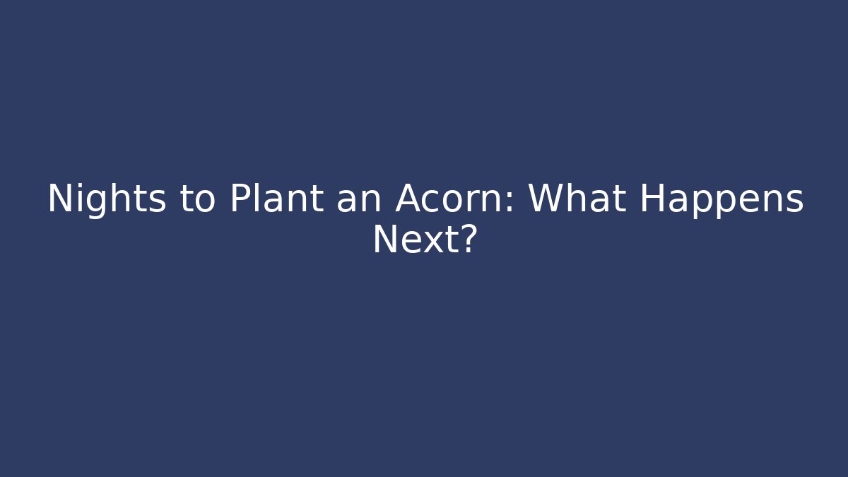 Nights to Plant an Acorn: What Happens Next?