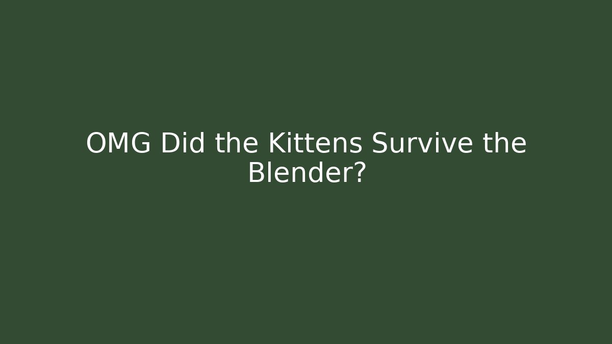 OMG Did the Kittens Survive the Blender?