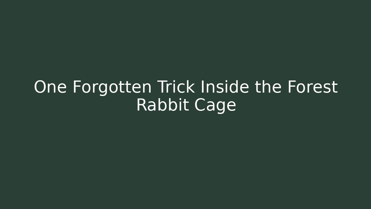 One Forgotten Trick Inside the Forest Rabbit Cage - Critter Realm
