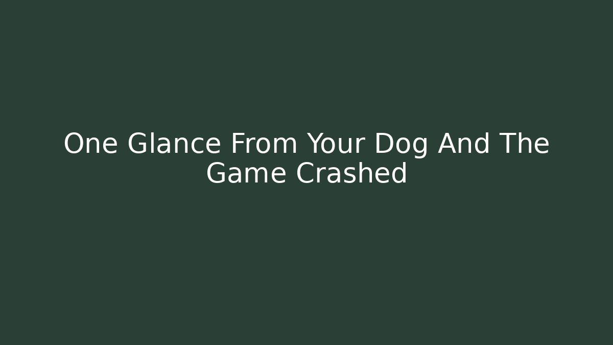 One Glance From Your Dog And The Game Crashed
